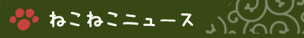 ねこねこニュース